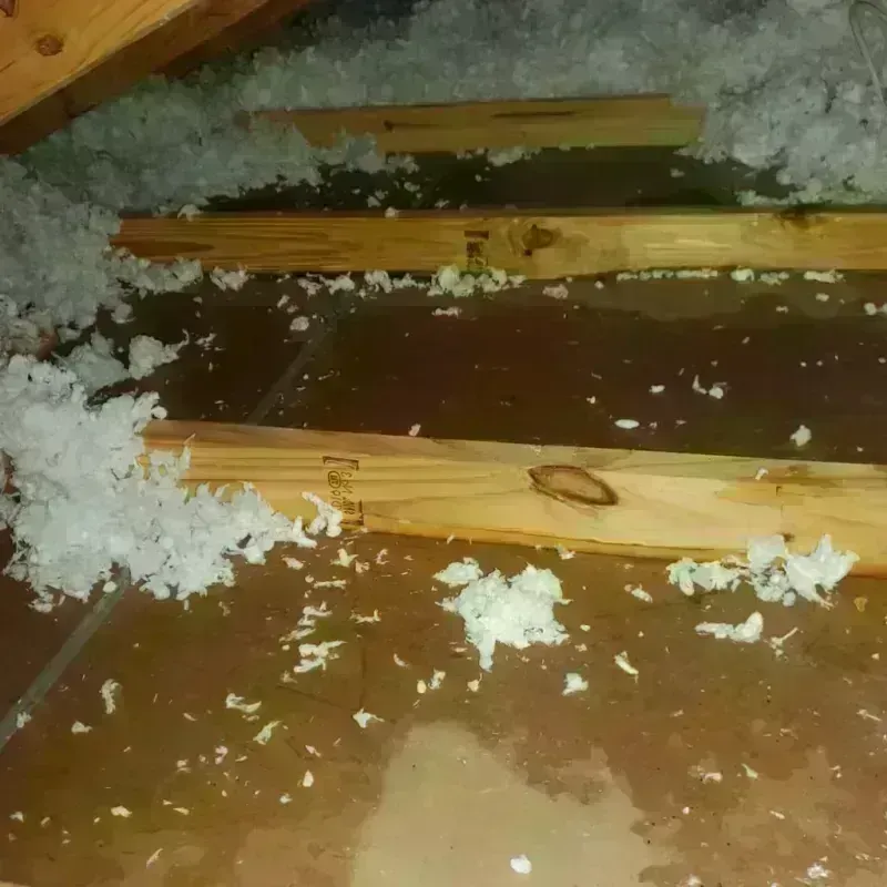 Attic Water Damage in Chinook, MT