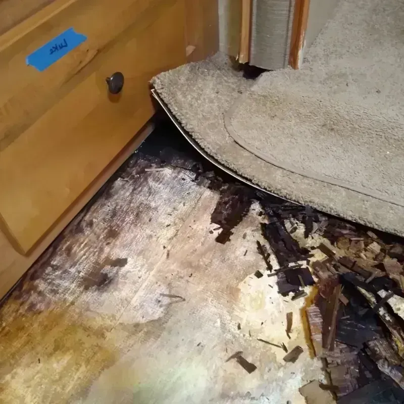 Wood Floor Water Damage in Chinook, MT